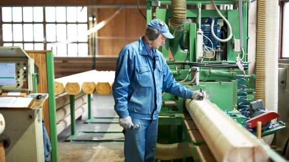 Metsandus ja puidutööstus