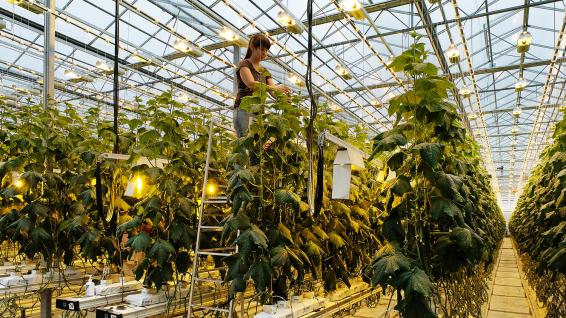 Põllumajandus ja toiduainetööstus